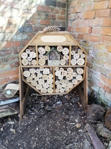 Bug House